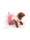 Woofmoda Рокля за кучета