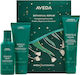 Aveda Botanical Repair Stärkende Essentials Haarpflege-Set Für Beschädigtes Haar Mit Shampoo & Konditionierer 3 Stück