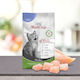 Platinum Pet Food & Care Meatcrisp Kitten Dry F...
