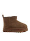 Suede Women's Ankle Boots with Fur Brown