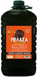 HealthTrade Molasses 7000gr