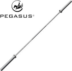 Pegasus Ίσια Μπάρα Ολυμπιακού Τύπου Φ50 15.4kg Μήκους 200cm με Κολάρα Ασφαλείας Pegasus Ίσια Μπάρα Ολυμπιακού Τύπου Φ50 15.4kg Μήκους 200cm με Κολάρα Ασφαλείας
