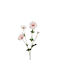 Flower 67cm Beauty Home