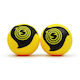 Spikeball Pro Balls 2pcs