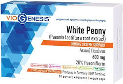 Viogenesis Weiße Pfingstrose 600mg 30 Kräuterkapseln Viogenesis Weiße Pfingstrose 600mg 30 Kräuterkapseln