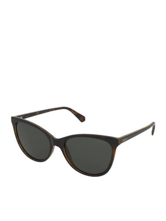 Polaroid Women's Sunglasses with Brown Tartarug...