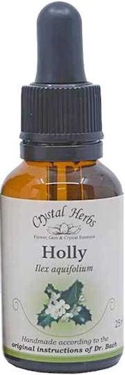 Holly Bachblüte 25ml Crystal Herbs