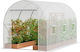 Vevor SDXWS10X7X7F4BYNQV0 Greenhouse Tunnel 2.9x2x1.9m