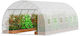 Vevor SDXWS20X10X78IHE2V0 Gewächshaus Tunnel 5.9x3x2m