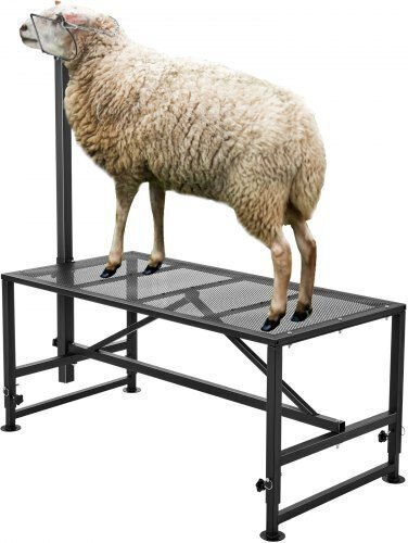 Vevor Goat Cutting Stand 51x23" Black Scxjjhsytm519zqt8v0