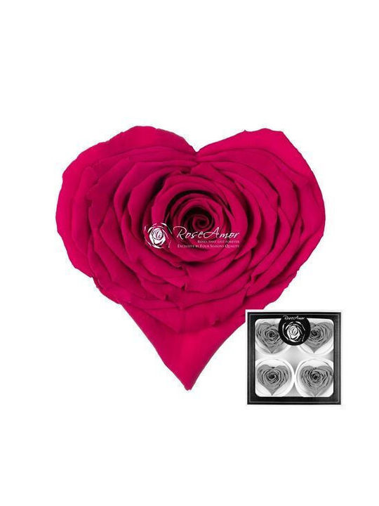 Preserved Roses Corazon Bella Pink 05 4 Pieces
