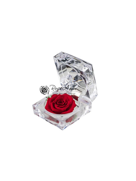 Geschenkbox mit konservierten Rosen Juwel Rot 02