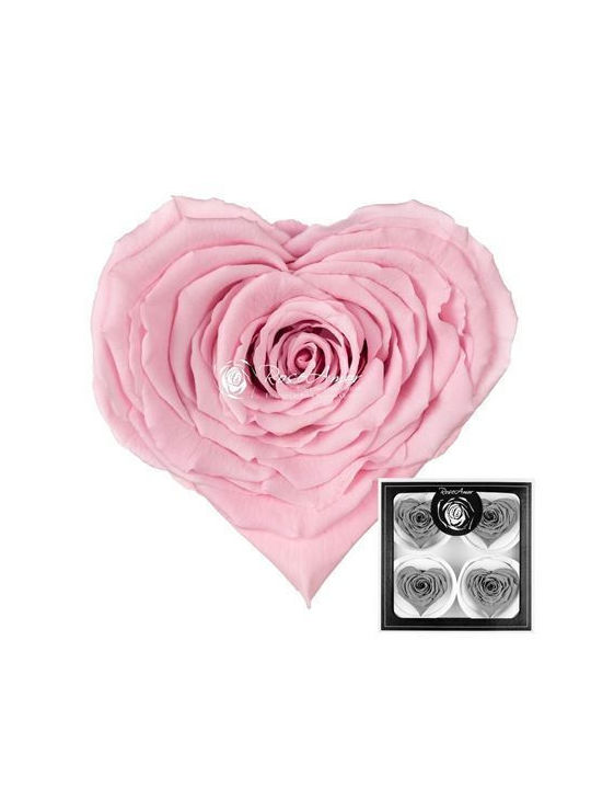 Preserved Roses Corazon Bella Pink 04 4 Pieces