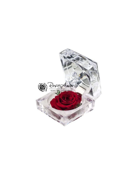 Preserved Roses Giftbox Jewel Red 01