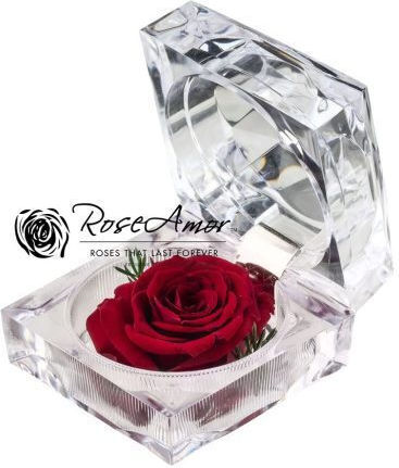 Αποχυμωμένα Τριαντάφυλλα Giftbox Jewel Red 01