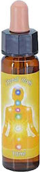 Crystal Herbs Αιθέριο Έλαιο 10ml