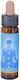 Crystal Herbs Ätherisches Öl 10ml