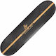 Action One Complete Shortboard Hot Shot 79 X 20 Cm Multicolor