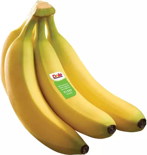 Bananas Imported from 1500gr 2104109000000