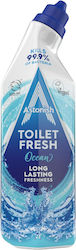 Astonish Gel Καθαρισμού 750ml