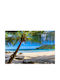 Fototapet Living Palmieri Exotici Plajă Tropicală 260x390