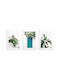 Wandposter Küche Wohnzimmer Natur Kräuter Pflanzen Minimalismus 3x30x40