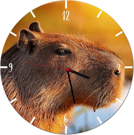 Decowalls Kinder Wanduhr 30εκ.