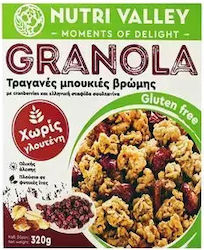 Nutri Valley Healthy Foods Nutri Valley Granola Cranberries Χωρίς Γλουτένη 320gr