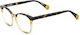 Le Parc Plastic Eyeglass Frame Brown Tortoise LP.KENGO-C4-0