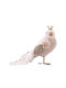 Vetur BV Christmas Figure Little bird White Height 20cm