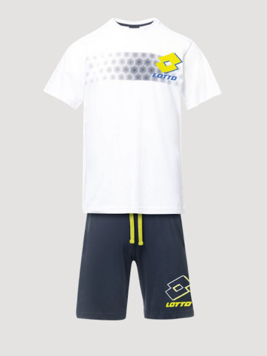 Lotto Alb