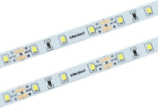 Metanor Bandă LED Alb Rece Lumină 5m Tip COB