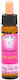 Crystal Herbs Αιθέριο Έλαιο 10ml