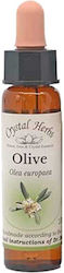 Crystal Herbs Αιθέριο Έλαιο 10ml Crystal Herbs Αιθέριο Έλαιο 10ml