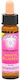 Crystal Herbs Essential Oil 10ml
