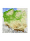 Decowalls Картина Платнен 45x45см