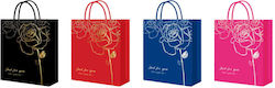 Set Bag (Miscellaneous Designs/Colours) 12 Pieces