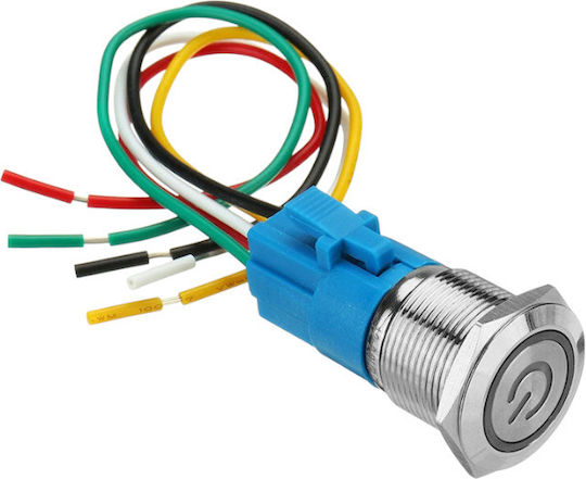 Raistar Διακόπτης On/Off Αυτοκινήτου 12V-24V Ασημί