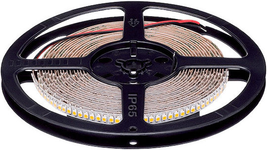 Elmark Αδιάβροχη Ταινία LED 24V 1m Τύπου SMD3528