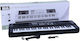 Blue Toys Harmonium