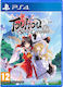 Touhou Spell Carnival Day One Edition PS4 Game