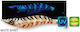 Savage Gear Cast Egi Калмари Jigs 19гр Бял Спирт