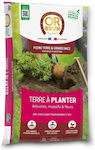 Brun Obrtap20n Potting Soil 20 L