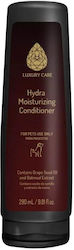 Hydra Contitioner Luxury Care Shampoo Dog