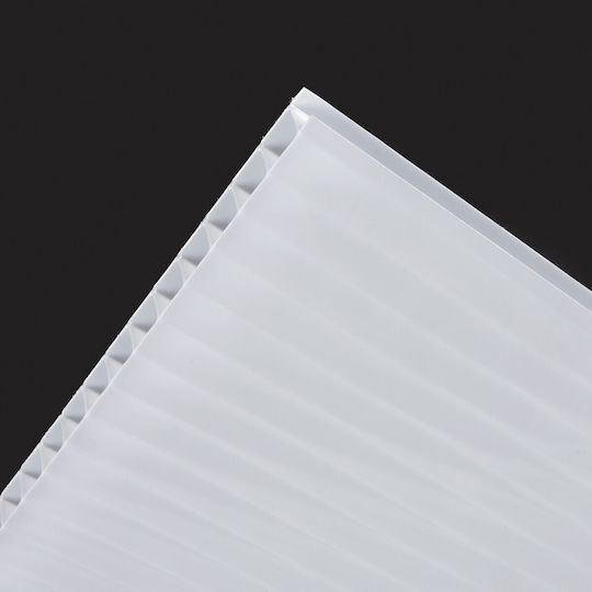 Showood Foaie din policarbonat L1.05xW1m cu Grosime 10mm Celular Lăptos 211002-8