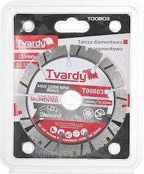 Segmentierte Diamantscheibe 125 x 12 x 22,23 mm Tvardy T00803 Segmentierte Diamantscheibe 125 x 12 x 22,23 mm Tvardy T00803