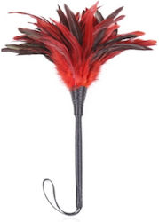 Erotic Feather Feather for Tickling