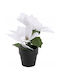 Künstliche Pflanze im Töpfchen 18cm Home&Styling Collection