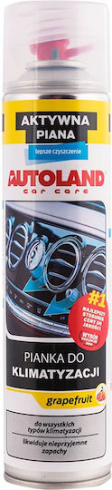 Autoland Спрей за почистване на автомобилни климатици 400ml