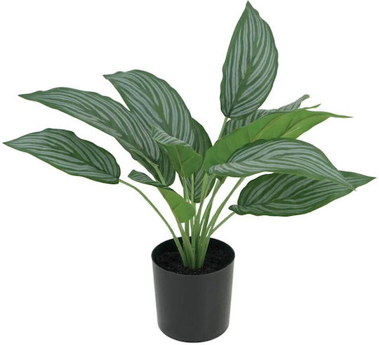 Monstera Potted Plant 44cm Marhome